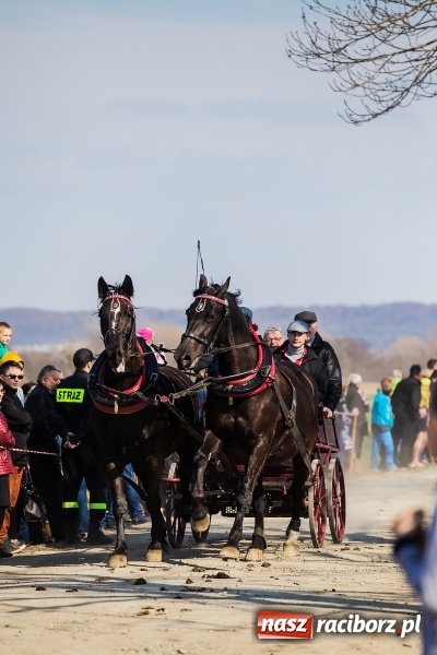Zdjęcie w galerii na portalu naszraciborz.pl: Sudolskie radosne rajtowanie, czyli z Jezusem Zmartwychwstałym przez pola wiadomości z regionu