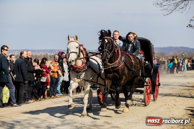 Zdjęcie w galerii na portalu naszraciborz.pl: Sudolskie radosne rajtowanie, czyli z Jezusem Zmartwychwstałym przez pola wiadomości z regionu
