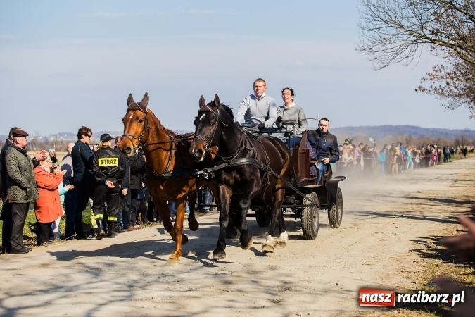Zdjęcie w galerii na portalu naszraciborz.pl: Sudolskie radosne rajtowanie, czyli z Jezusem Zmartwychwstałym przez pola wiadomości z regionu