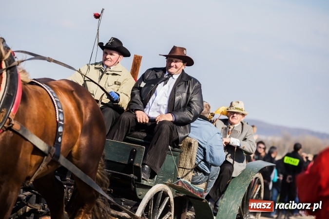 Zdjęcie w galerii na portalu naszraciborz.pl: Sudolskie radosne rajtowanie, czyli z Jezusem Zmartwychwstałym przez pola wiadomości z regionu