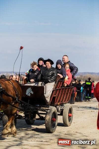 Zdjęcie w galerii na portalu naszraciborz.pl: Sudolskie radosne rajtowanie, czyli z Jezusem Zmartwychwstałym przez pola wiadomości z regionu