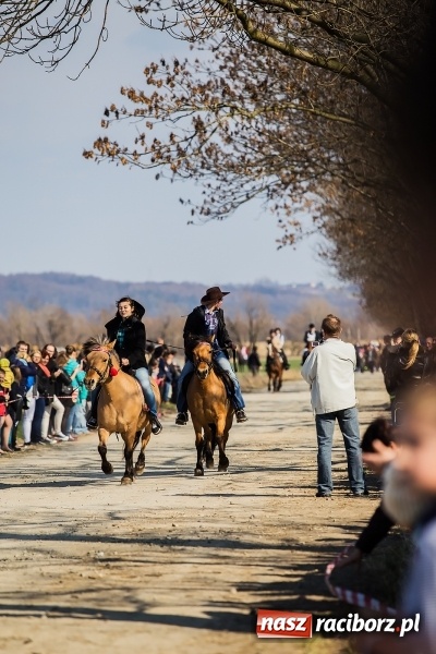Zdjęcie w galerii na portalu naszraciborz.pl: Sudolskie radosne rajtowanie, czyli z Jezusem Zmartwychwstałym przez pola wiadomości z regionu