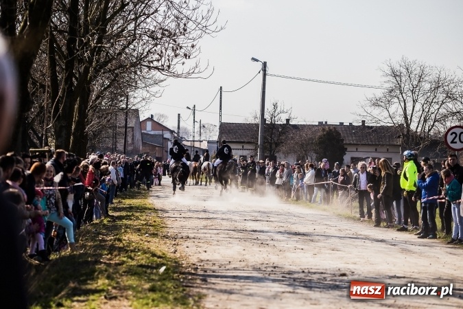 Zdjęcie w galerii na portalu naszraciborz.pl: Sudolskie radosne rajtowanie, czyli z Jezusem Zmartwychwstałym przez pola wiadomości z regionu