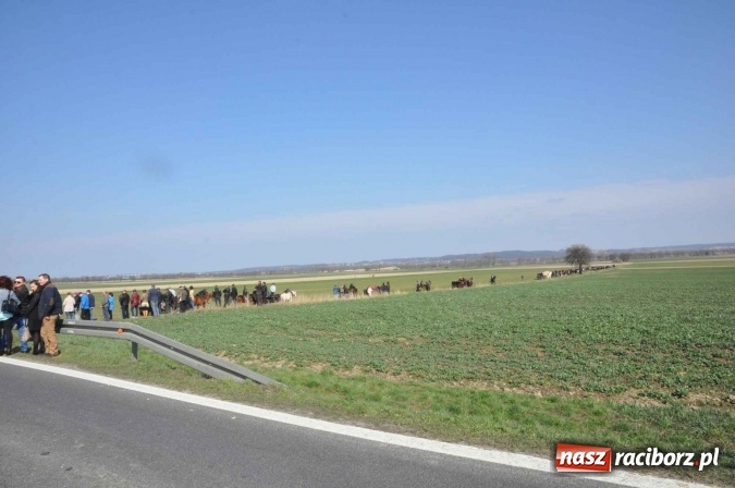 Zdjęcie w galerii na portalu naszraciborz.pl: W Sudole procesja z metropolitą górnośląskim  wiadomości z regionu