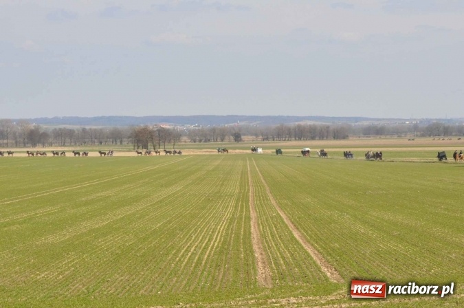 Zdjęcie w galerii na portalu naszraciborz.pl: W Sudole procesja z metropolitą górnośląskim  wiadomości z regionu