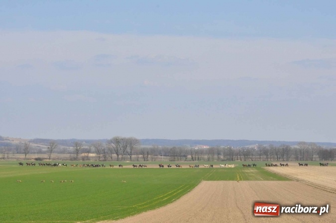 Zdjęcie w galerii na portalu naszraciborz.pl: W Sudole procesja z metropolitą górnośląskim  wiadomości z regionu