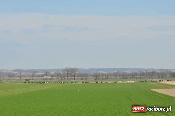 Zdjęcie w galerii na portalu naszraciborz.pl: W Sudole procesja z metropolitą górnośląskim  wiadomości z regionu
