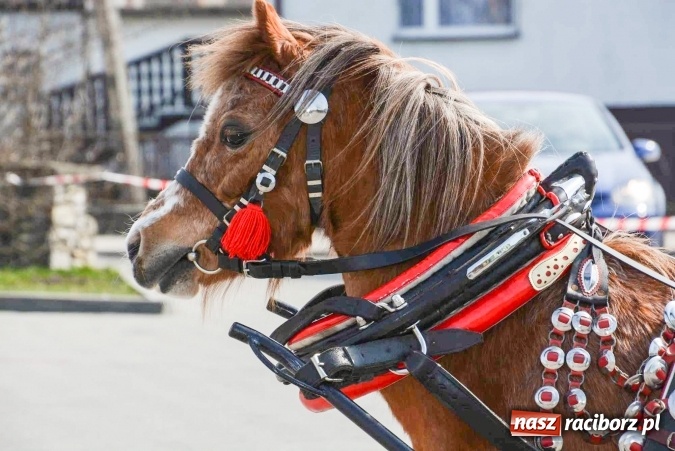 Zdjęcie w galerii na portalu naszraciborz.pl: Zawada Książęca - nadodrzańska procesja wielkanocna  wiadomości z regionu