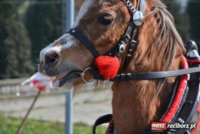 Zdjęcie w galerii na portalu naszraciborz.pl: Zawada Książęca - nadodrzańska procesja wielkanocna  wiadomości z regionu