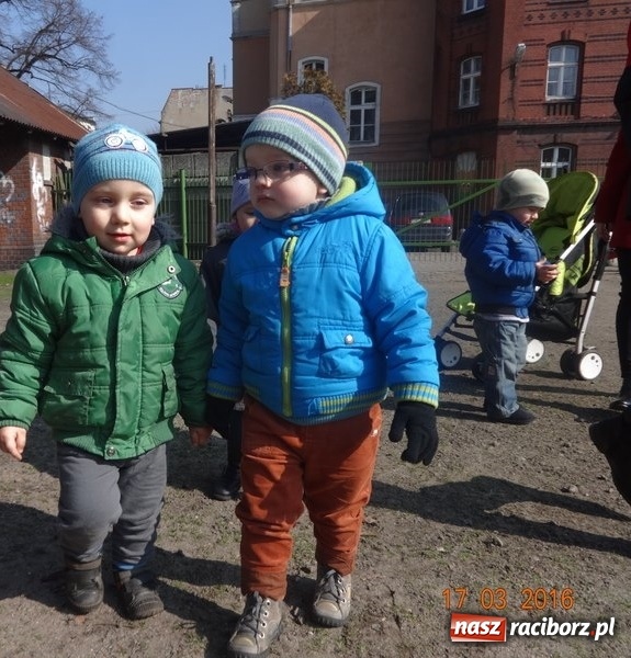 Zdjęcie w galerii na portalu naszraciborz.pl: Fiku-miku przywitało wiosnę  wiadomości z regionu
