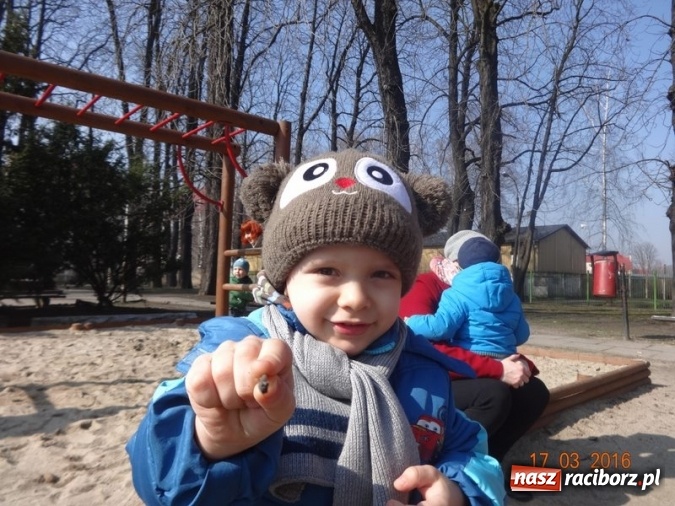 Zdjęcie w galerii na portalu naszraciborz.pl: Fiku-miku przywitało wiosnę  wiadomości z regionu