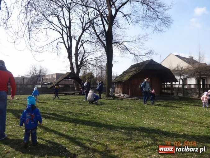 Zdjęcie w galerii na portalu naszraciborz.pl: Fiku-miku przywitało wiosnę  wiadomości z regionu