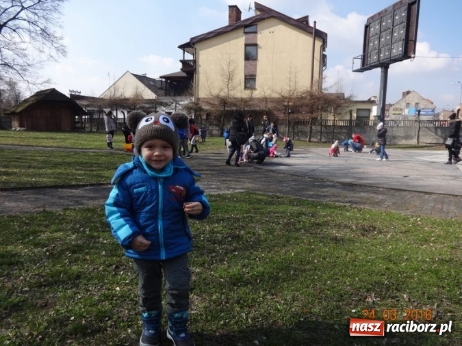 Zdjęcie w galerii na portalu naszraciborz.pl: Fiku-miku przywitało wiosnę  wiadomości z regionu