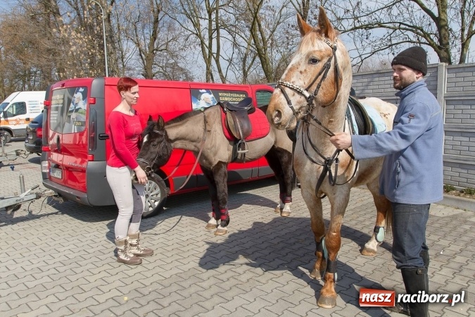 Zdjęcie w galerii na portalu naszraciborz.pl: W drodze do kościółka św. Krzyża wiadomości z regionu