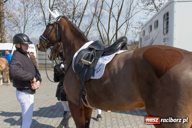 Zdjęcie w galerii na portalu naszraciborz.pl: W drodze do kościółka św. Krzyża wiadomości z regionu