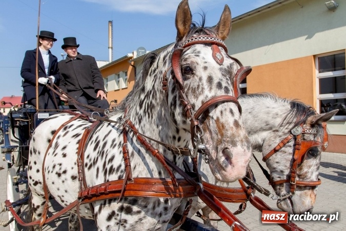 Zdjęcie w galerii na portalu naszraciborz.pl: W drodze do kościółka św. Krzyża wiadomości z regionu
