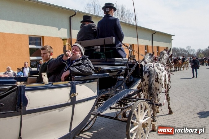 Zdjęcie w galerii na portalu naszraciborz.pl: W drodze do kościółka św. Krzyża wiadomości z regionu