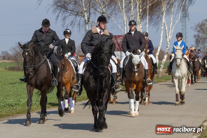 Zdjęcie w galerii na portalu naszraciborz.pl: W drodze do kościółka św. Krzyża wiadomości z regionu