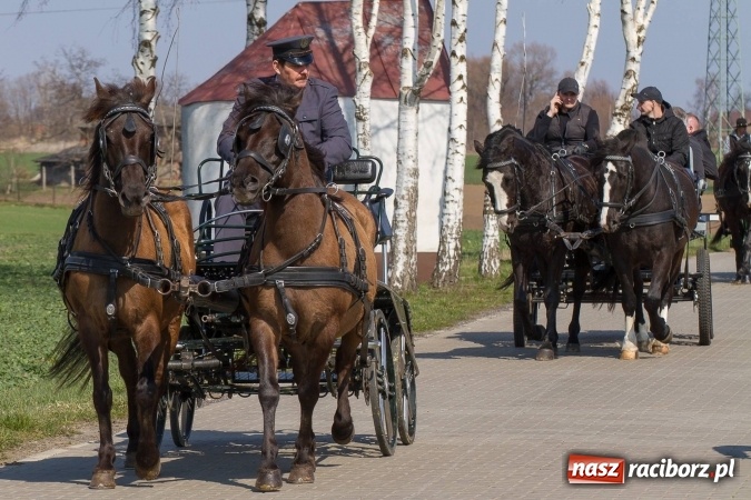 Zdjęcie w galerii na portalu naszraciborz.pl: W drodze do kościółka św. Krzyża wiadomości z regionu