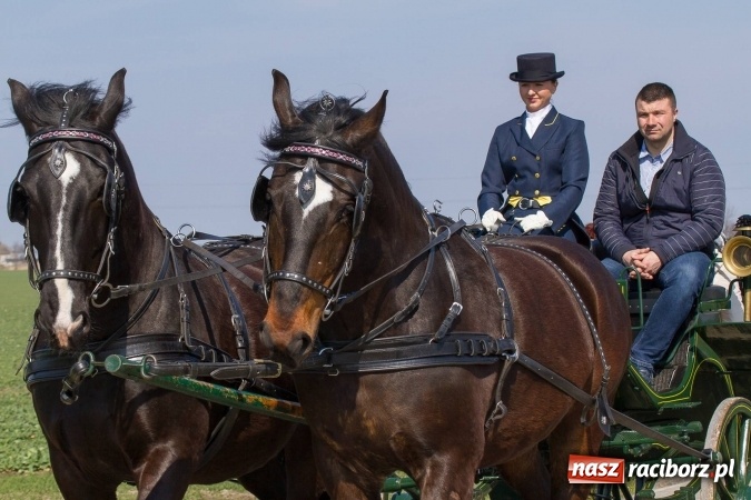 Zdjęcie w galerii na portalu naszraciborz.pl: W drodze do kościółka św. Krzyża wiadomości z regionu