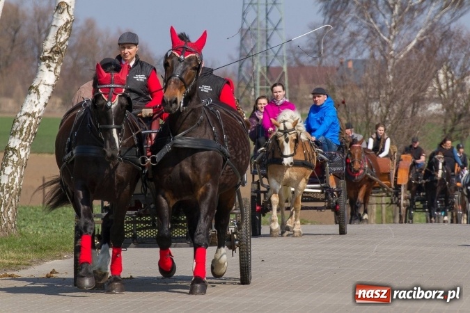 Zdjęcie w galerii na portalu naszraciborz.pl: W drodze do kościółka św. Krzyża wiadomości z regionu