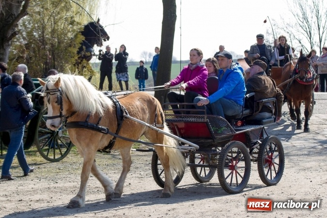Zdjęcie w galerii na portalu naszraciborz.pl: W drodze do kościółka św. Krzyża wiadomości z regionu