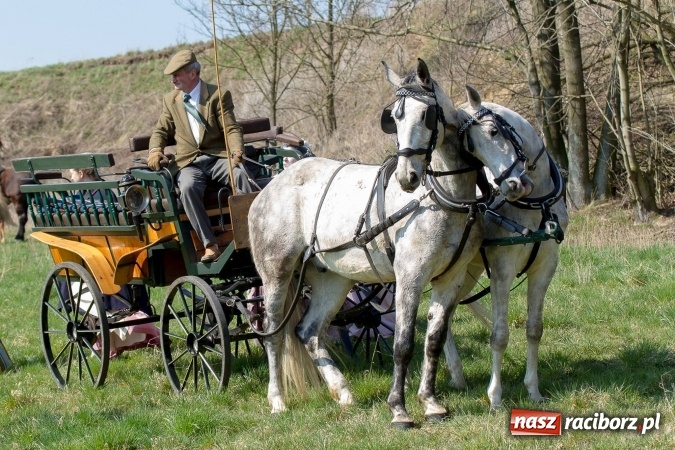 Zdjęcie w galerii na portalu naszraciborz.pl: W drodze do kościółka św. Krzyża wiadomości z regionu