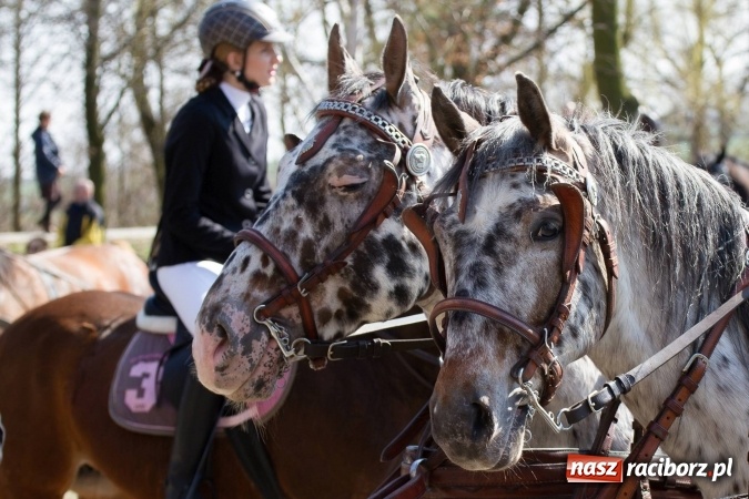 Zdjęcie w galerii na portalu naszraciborz.pl: W drodze do kościółka św. Krzyża wiadomości z regionu