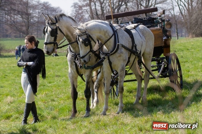 Zdjęcie w galerii na portalu naszraciborz.pl: W drodze do kościółka św. Krzyża wiadomości z regionu