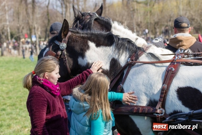 Zdjęcie w galerii na portalu naszraciborz.pl: W drodze do kościółka św. Krzyża wiadomości z regionu