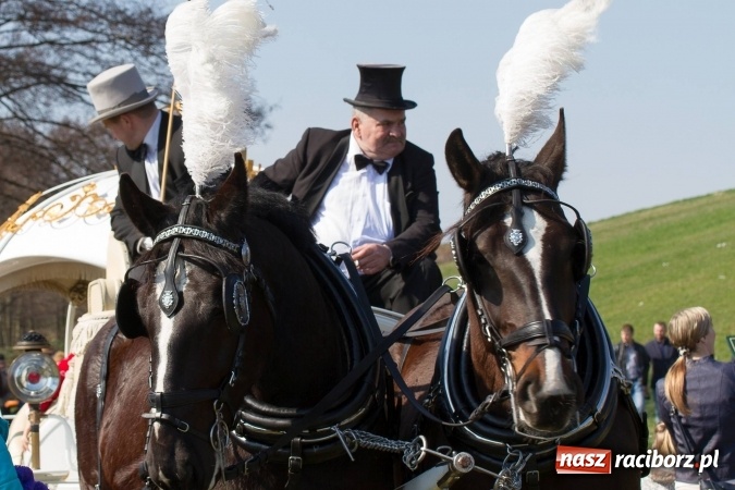 Zdjęcie w galerii na portalu naszraciborz.pl: W drodze do kościółka św. Krzyża wiadomości z regionu