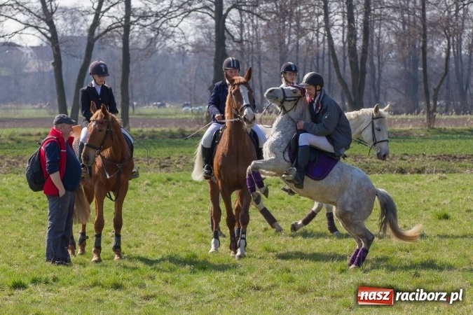 Zdjęcie w galerii na portalu naszraciborz.pl: W drodze do kościółka św. Krzyża wiadomości z regionu
