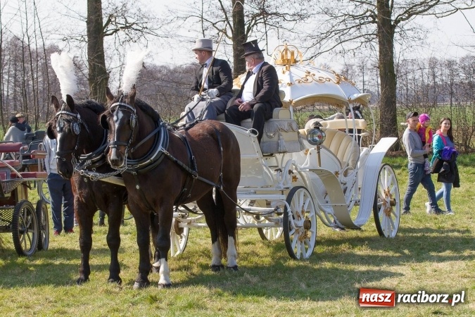 Zdjęcie w galerii na portalu naszraciborz.pl: W drodze do kościółka św. Krzyża wiadomości z regionu