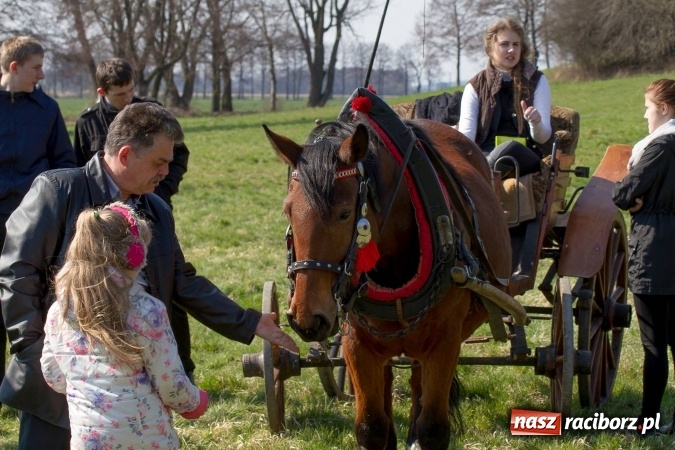 Zdjęcie w galerii na portalu naszraciborz.pl: W drodze do kościółka św. Krzyża wiadomości z regionu