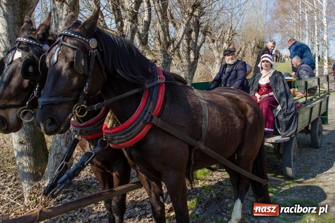 Zdjęcie w galerii na portalu naszraciborz.pl: W drodze do kościółka św. Krzyża wiadomości z regionu