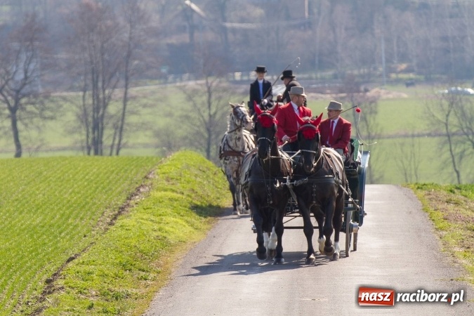 Zdjęcie w galerii na portalu naszraciborz.pl: W drodze do kościółka św. Krzyża wiadomości z regionu