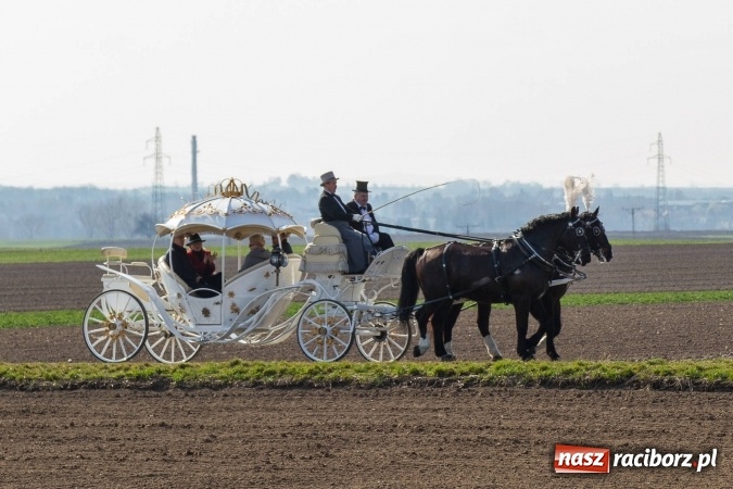 Zdjęcie w galerii na portalu naszraciborz.pl: W drodze do kościółka św. Krzyża wiadomości z regionu