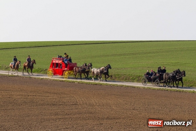 Zdjęcie w galerii na portalu naszraciborz.pl: W drodze do kościółka św. Krzyża wiadomości z regionu