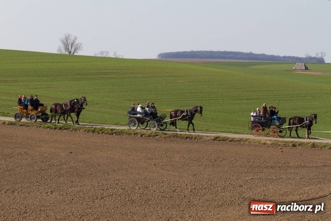 Zdjęcie w galerii na portalu naszraciborz.pl: W drodze do kościółka św. Krzyża wiadomości z regionu