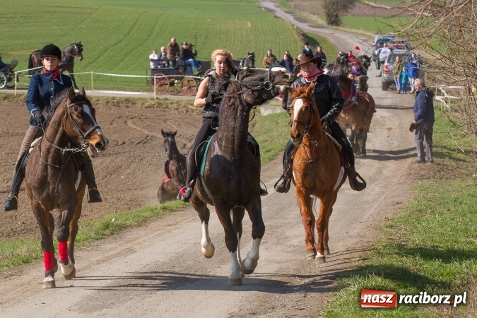Zdjęcie w galerii na portalu naszraciborz.pl: W drodze do kościółka św. Krzyża wiadomości z regionu