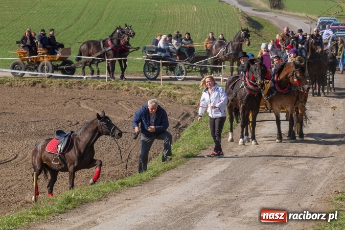 Zdjęcie w galerii na portalu naszraciborz.pl: W drodze do kościółka św. Krzyża wiadomości z regionu