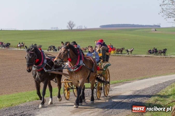 Zdjęcie w galerii na portalu naszraciborz.pl: W drodze do kościółka św. Krzyża wiadomości z regionu