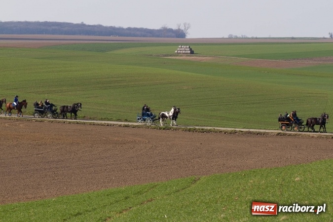 Zdjęcie w galerii na portalu naszraciborz.pl: W drodze do kościółka św. Krzyża wiadomości z regionu