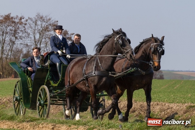 Zdjęcie w galerii na portalu naszraciborz.pl: W drodze do kościółka św. Krzyża wiadomości z regionu