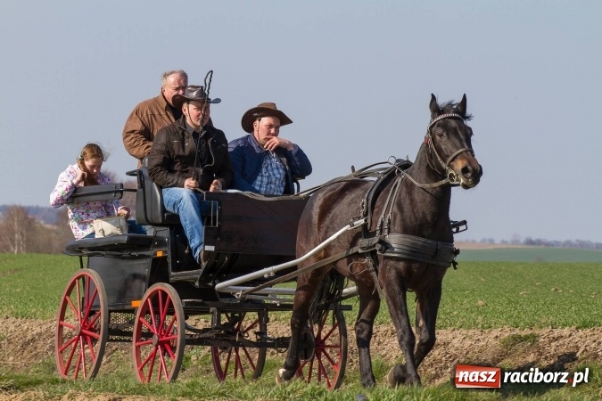 Zdjęcie w galerii na portalu naszraciborz.pl: W drodze do kościółka św. Krzyża wiadomości z regionu