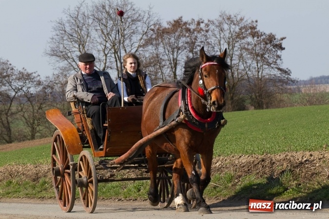 Zdjęcie w galerii na portalu naszraciborz.pl: W drodze do kościółka św. Krzyża wiadomości z regionu