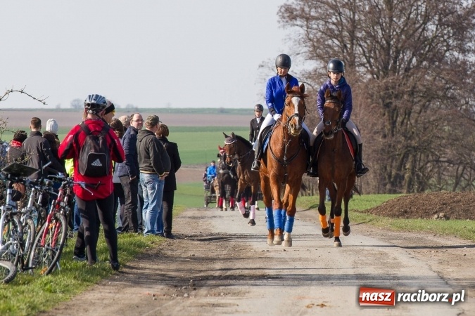 Zdjęcie w galerii na portalu naszraciborz.pl: W drodze do kościółka św. Krzyża wiadomości z regionu