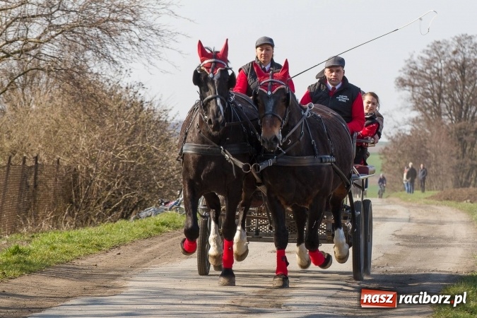 Zdjęcie w galerii na portalu naszraciborz.pl: W drodze do kościółka św. Krzyża wiadomości z regionu