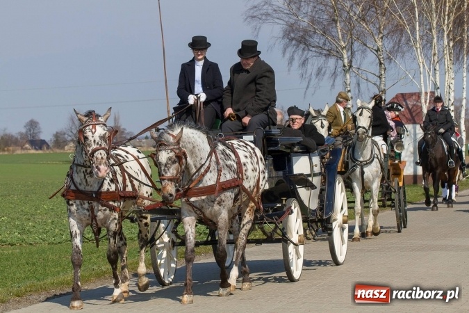 Zdjęcie w galerii na portalu naszraciborz.pl: W drodze do kościółka św. Krzyża wiadomości z regionu