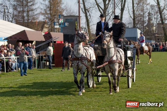 Zdjęcie w galerii na portalu naszraciborz.pl: Wielkanocny festyn konny w Pietrowicach Wielkich wiadomości z regionu